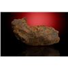 Image 2 : Sikhote-Alin Iron Meteorite Shrapnel Fragment