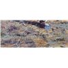 Image 2 : Alan Bean Signed Giclee