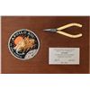 Image 1 : Apollo 13 Flown Pliers Presented to Joe Kerwin