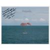 Image 1 : Fred Haise Signed Photograph