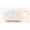 Image 1 : Hubble Space Telescope Bistem Straps and Pouch