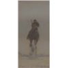 Image 1 : Rob Stern, Rider 2 60x30
