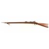 Image 2 : Springfield 1873 .45-70 SN: 369141
