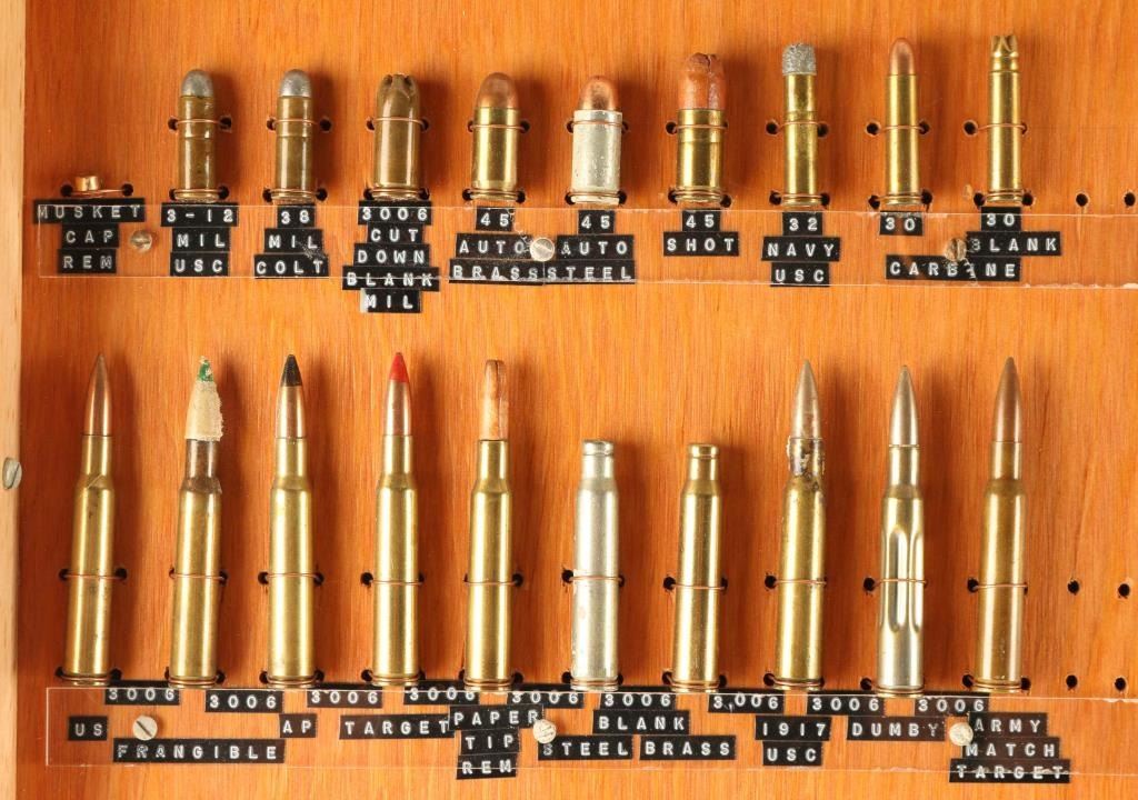 Bullet Display Case