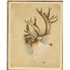 Image 1 : Fine Art Etching by Michael Coleman