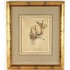 Image 2 : Fine Art Etching by Michael Coleman