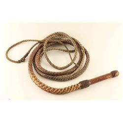 Bull Whip