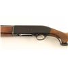 Image 3 : Beretta Model AL2 20 Ga SN: H06478