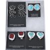 Image 1 : Lot of Native American Ladies Earrings