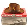 Image 1 : Brown Stetson