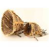 Image 2 : Lot of 2 Apache Burden Baskets