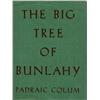 Image 1 : Jack Butler Yeats RHAPadraic Colum, The Big Tree 