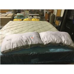 Standard Size Pillow 2-Pack