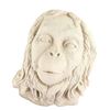 Image 1 : Planet of the Apes (1968) - Law Giver Ape, a rare plaster cast made from the original screen used pr