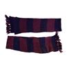 Image 1 : Doctor Who - Slyvester McCoy (7th Doctor) knitted blue and mauve regeneration scarf from Time and th