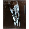 Image 1 : Terminator Salvation (2009) - Marcus Wright (Sam Worthington) X-Ray. The X-Ray was created for Direc
