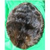 Image 2 : BEAVER PELT (21 INCHES LONG X 14 INCHES WIDE) *PROFESSIONALLY TANNED AND STRECHED) *STAMPED "NATURAL