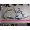 Image 1 : THREE DEER SHEDS