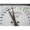Image 2 : DAIRY SCALE (HANSON)