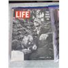 Image 3 : LOT OF 1960'S LIFE MAGAZINES (10)