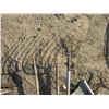 Image 2 : LOT OF 3 PITCH FORKS