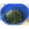 Image 2 : PAIL OF MARBLES AND PENNIES