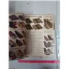 Image 2 : FALL & WINTER EATONS 1953-54 CATALOGUE, 2 APPLE ADVERTISING