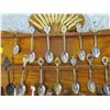 Image 2 : SPOON COLLECTION (WITH DISPLAY)