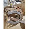 Image 2 : LOT OF HORSESHOES/SHOE LASS