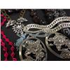 Image 3 : Lot of Vintage Costume Jewelry