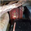 Image 3 : VINTAGE MAIL BOX, SUITCASE, 2 PIECES OF DRIFT WOOD, AND HARLEY DAVISON CASE