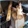 Image 4 : VINTAGE MAIL BOX, SUITCASE, 2 PIECES OF DRIFT WOOD, AND HARLEY DAVISON CASE