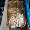 Image 2 : 2 BOXES OF WOODEN BEADS