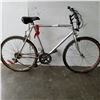 Image 1 : SILVER NO NAME BIKE