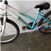 Image 2 : BLUE WHITE TRIUMPH BIKE