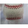 Image 3 : ANDRE THRONTON AND JOEL PINEIRO AUTOGRAPHED BASEBALLS W/ COA
