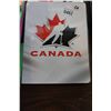 Image 1 : BINDER OF NHL ROOKIE CARDS, VALUE $850