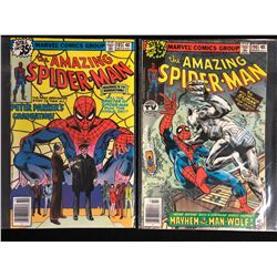 THE AMAZING SPIDER-MAN COMIC BOOK LOT (MARVEL COMICS)