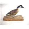 Image 1 : A CARVED AND PAINTED CANADA GOOSE