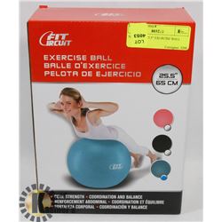 NEW BLUE 25.5" EXERCISE BALL