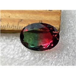 17)  OVAL 10CT  NATURAL  BI-COLORED