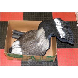 LARGE BOX W/13 FULL-SIZE CANADA GOOSE