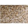 Image 3 : 15) SHAG MIXED NATURAL CARPET 5X8