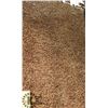 Image 1 : 22) VEGAS BROWN CARPET 4X6