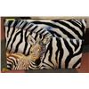 Image 1 : STRETCHED CANVAS ZEBRA PRINT 28"X20".