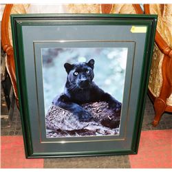 LARGE FRAMED BLACK PANTHER PICTURE