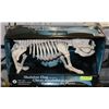 Image 1 : SKELETON DOG W/LED EYES - GENERAL,