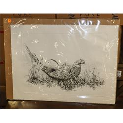 PHEASANT CLOSE UP PRINT