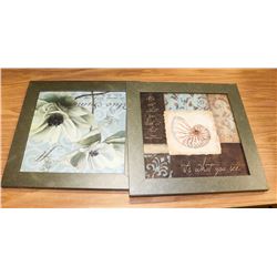 2 FRAMED PICTURES - FLORAL & SEASHELLS.