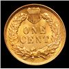 Image 3 : ***Auction Highlight*** 1908 Indian Cent 1c Graded Gem+ Unc RD By USCG (fc)